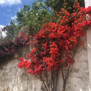 Meet your Posher, Sofia